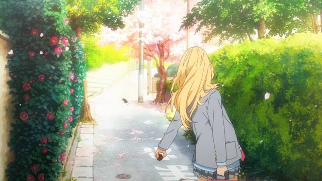 Location where Kaori Miyazono found the black cat