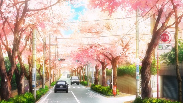 校門前の桜坂