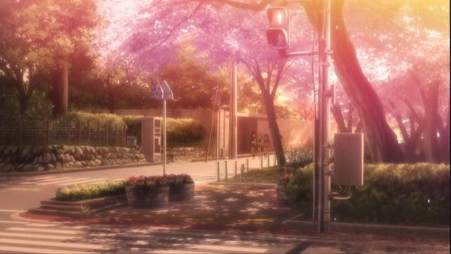 Alley Sakura