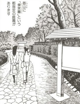Amusement Park