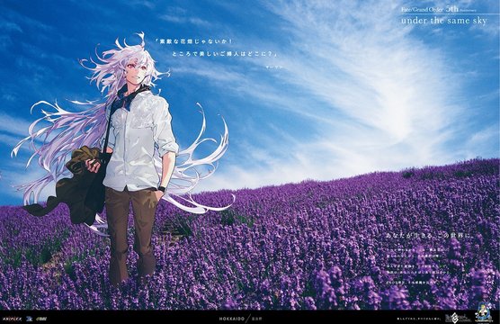 Summer Lavender Field