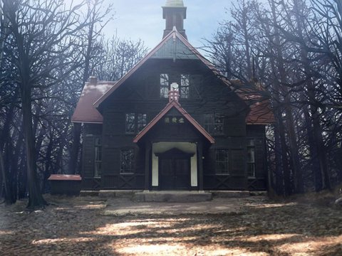 Gray Sky Above the Church