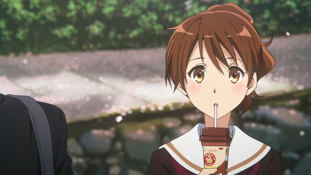 Kumiko's Riverside Bench