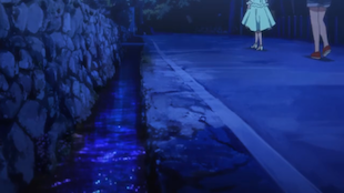 さわらびの道