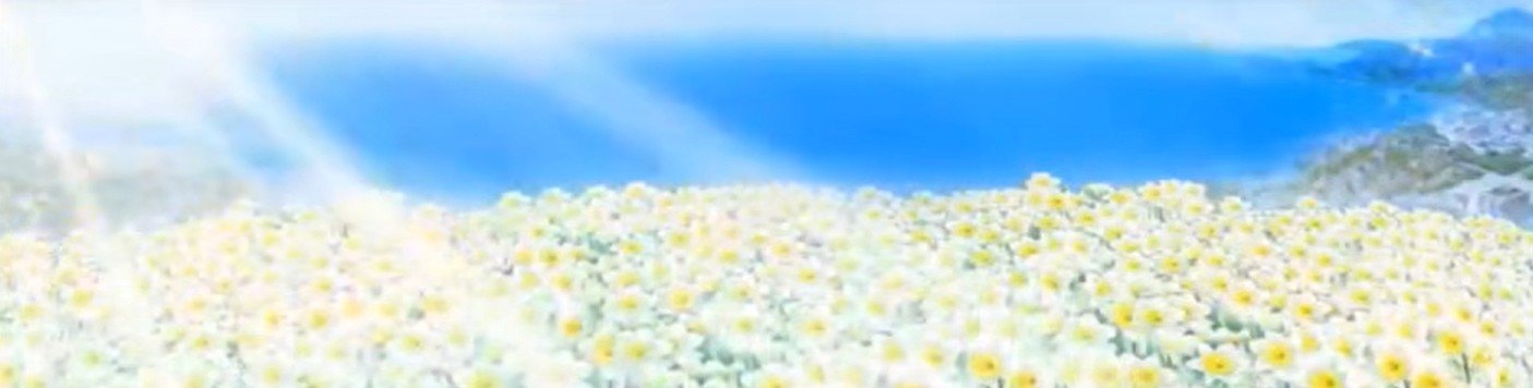 Hillside daffodil field by the sea