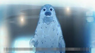 Meeting at the seal aquarium