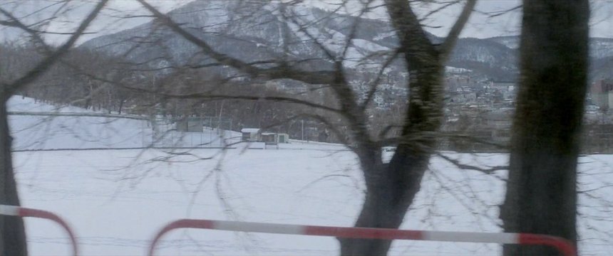 Otaru Park Snowscape