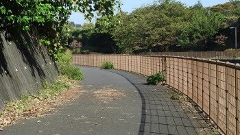 Sakai River Cycling Road