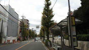 Bus stop at the west gate of the park