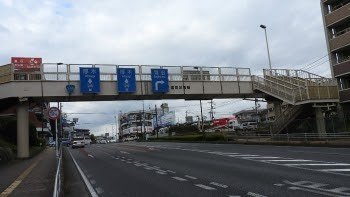 Cycling team on the footbridge