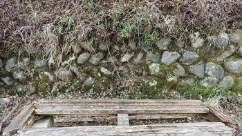 Seaside bench