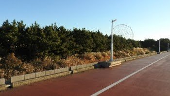 Riverside Cycling Path