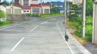 Chito's Walking Path