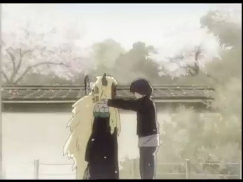 哲学之道樱花道