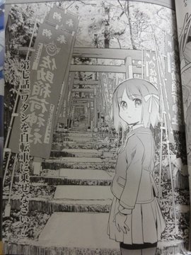 Sasuke Inari Shrine Approach
