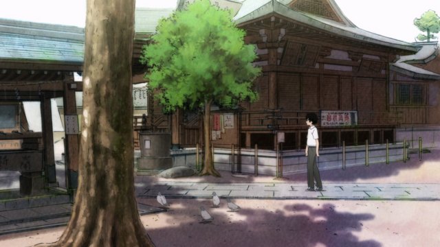 Feeding cats at the shrine