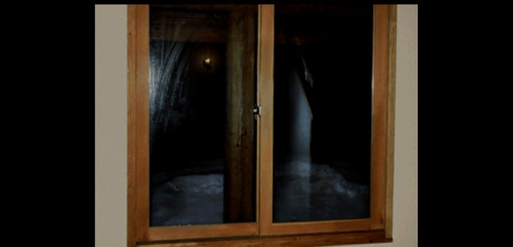 Knulp Conversation Room Window