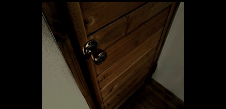 Room Door