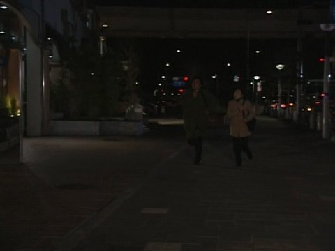 Odaiba commercial district street corner