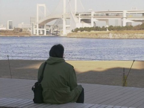 台场海滨木板路
