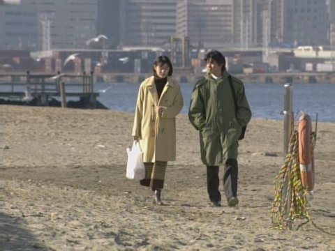 Odaiba Seaside Park