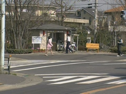 Farewell at Sakura Koban