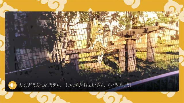 Serval Cat's Enclosure