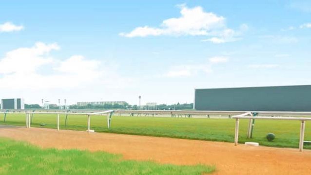 Racecourse Track