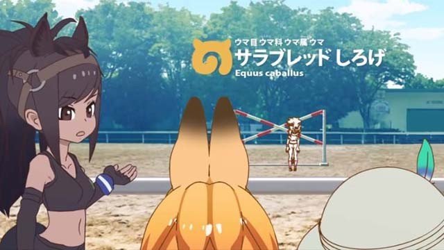 乗馬センター