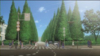 First confrontation on the ginkgo avenue