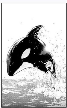 The Quintessential Quintuplets - Aquarium Orca