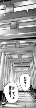 Entrance to the Thousand Torii