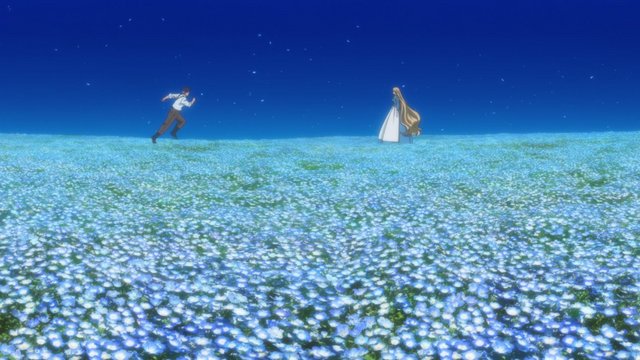 Hill of blue flowers