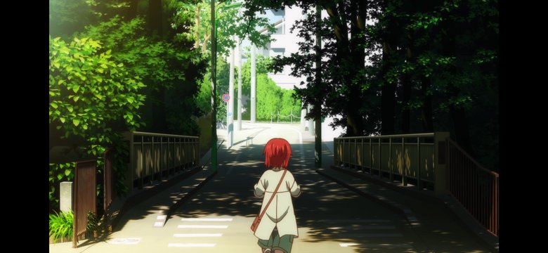 Bridge Encounter