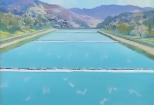 鴨川での魚捕り