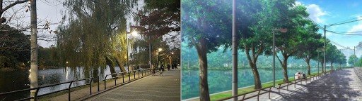 Park lakeside bench