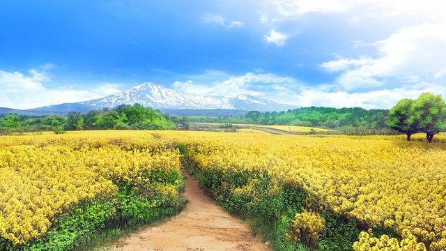 Girl in a Rapeseed Flower Field