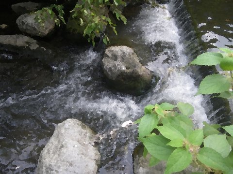 Mukogawa River Embankment Stroll