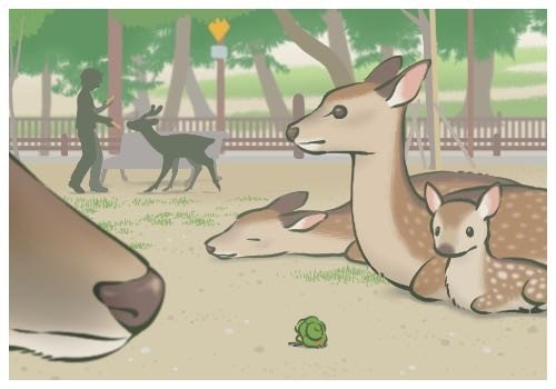 Deer in Nara Park