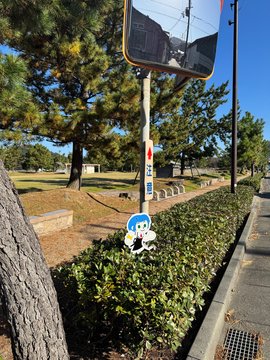 Kano's Dash Slope