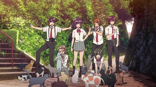 Group Photo with Cats