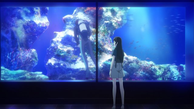 Aquarium corridor and giant tank
