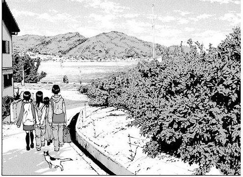 Orange Grove