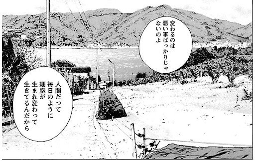 Tangerine Orchard ②