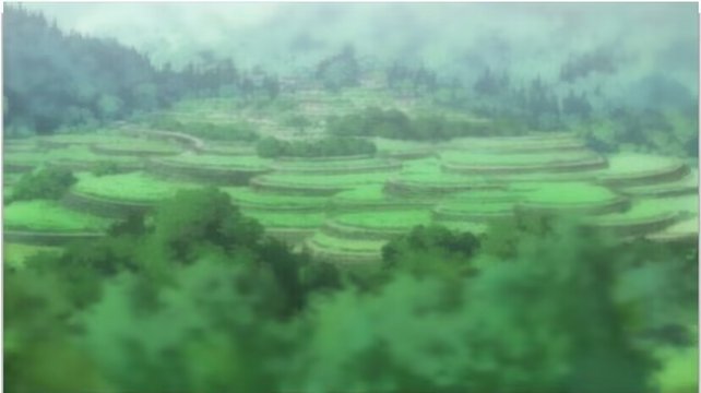 段々畑の子狐