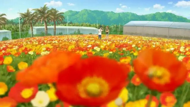 夏日露营地