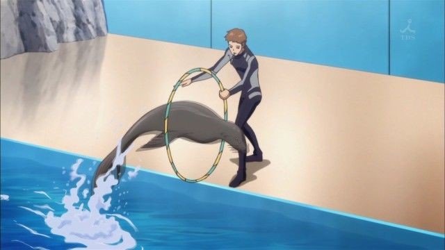 イルカスタジアムでの驚き