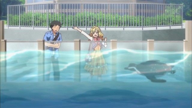 Aquarium Penguin Pool
