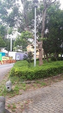 Sanaru Lake Signboard