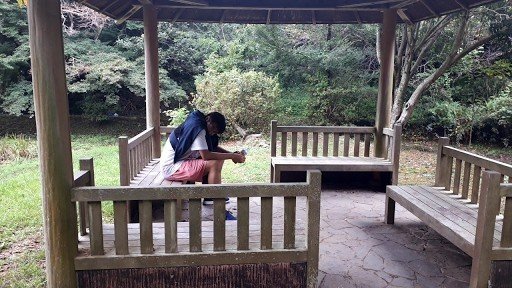 Rest Area